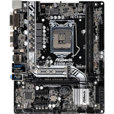 Лот: 11707094. Фото: 1. Материнская плата MB ASRock B250M-HDV... Материнские платы