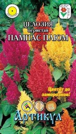 Лот: 11025549. Фото: 1. Целозия пер.Пампас Плюм 0,1 г... Садовые цветы
