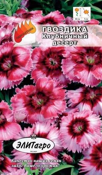 Лот: 11024732. Фото: 1. Гвоздика Клубничный десерт 5шт... Садовые цветы