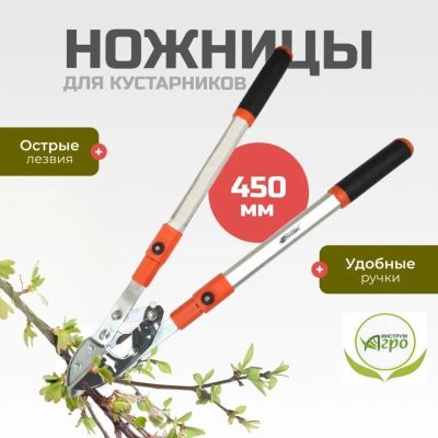 Лот: 24084267. Фото: 1. Ножницы садовые для кустарников... Ручные орудия труда