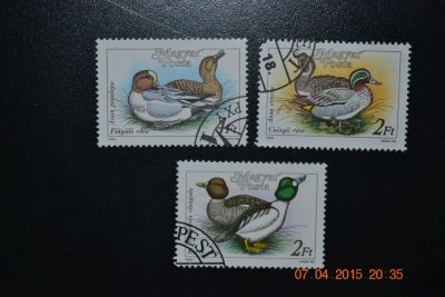 Лот: 5360781. Фото: 1. Марки Венгрии 1988г. Утки. Марки