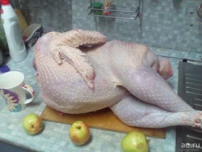 Лот: 16503834. Фото: 1. Индюк домашний опаленый. Мясо, птица, яйцо