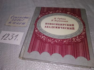 Лот: 19232135. Фото: 1. Рубина М. И., Вершинина И. Я... Другое (искусство, культура)