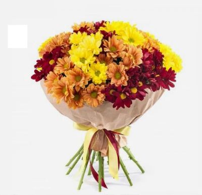 Лот: 12594060. Фото: 1. Букет из 11 цветных хризантем... Свежие цветы