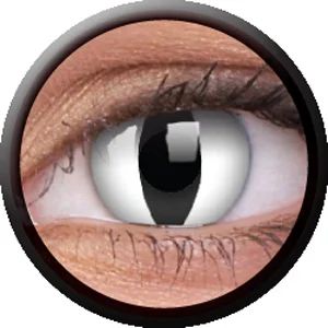 Лот: 4614751. Фото: 1. CRAZY. Цветные Контактные Линзы... Контактные линзы