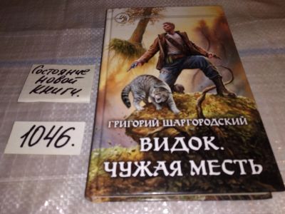 Лот: 16382436. Фото: 1. Шаргородский Григорий. Видок... Художественная
