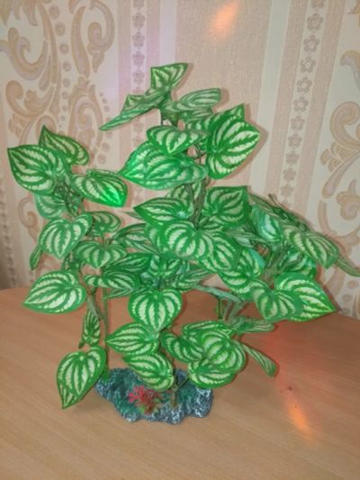 Лот: 12835587. Фото: 1. Водоросли для аквариума искусственные. Грунты, украшения, наполнения