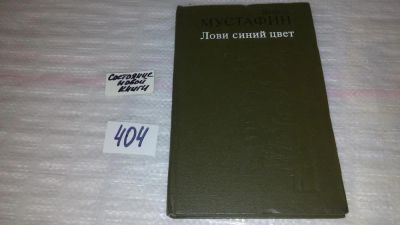 Лот: 9531459. Фото: 1. Лови синий цвет, Ямиль Мустафин... Художественная