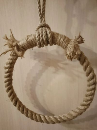 Лот: 19896275. Фото: 1. Кольцо для папугая. Игрушки для животных