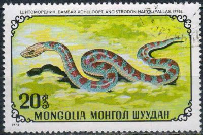 Лот: 25124386. Фото: 1. 1972. Монголия. Рептилии. н.с... Марки