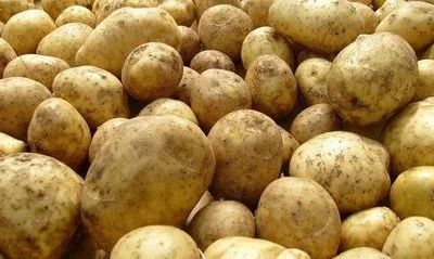 Лот: 16160264. Фото: 1. Свежий картофель 2020 сорт каратоп... Картофель