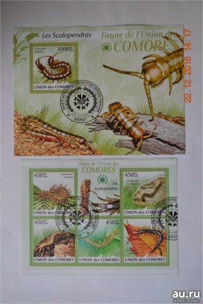 Лот: 12777112. Фото: 1. Блок + марки, лист Коморские острова... Марки