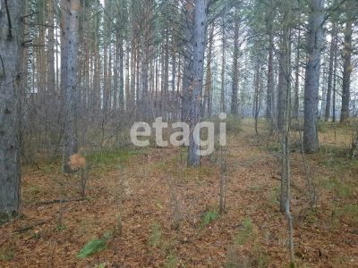 Лот: 25287979. Фото: 1. участок , СНТ Овинный СНТ Овинный... Земельные участки