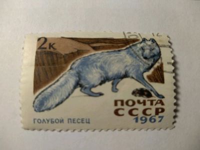 Лот: 13934261. Фото: 1. Марка ссср голубой песец 1967. Марки
