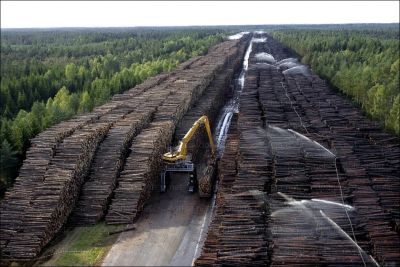 Лот: 10895922. Фото: 1. Требуются Лесовозы на вывозку... Другие (транспортные услуги, вывоз мусора)