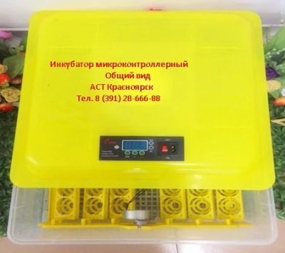 Лот: 11199179. Фото: 1. Бытовой инкубатор Sititek 48 на... Инкубаторы
