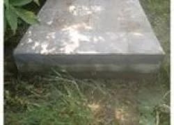 Лот: 7898511. Фото: 1. подвалы, погреба. Подвалы, погреба, кладовые