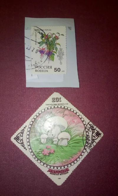Лот: 19549995. Фото: 1. Флора. Цветы, грибы. Много лотов... Марки