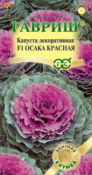 Лот: 11024690. Фото: 1. Капуста декоративная Осака красная... Садовые цветы