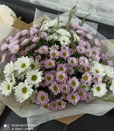 Лот: 16250093. Фото: 1. Букет из 15 хризантем 1500 рублей... Свежие цветы