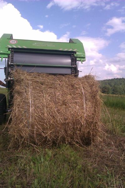 Лот: 2997285. Фото: 1. Продам сено в рулонах 2015 года. Корма