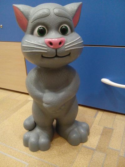 Лот: 6639823. Фото: 1. Кот том новый. Снизила цену до... Машины и техника