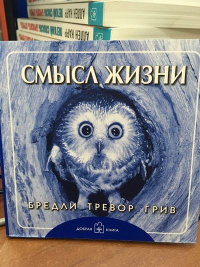 Лот: 11964278. Фото: 1. Бредли Грив "Смысл жизни". Другое (литература, книги)