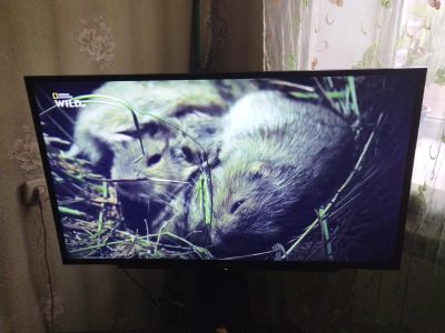 Лот: 18101099. Фото: 1. Smart TV sony. Телевизоры