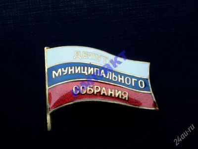 Лот: 1881242. Фото: 1. Депутат муниципального собрания. Другое (значки, медали, жетоны)