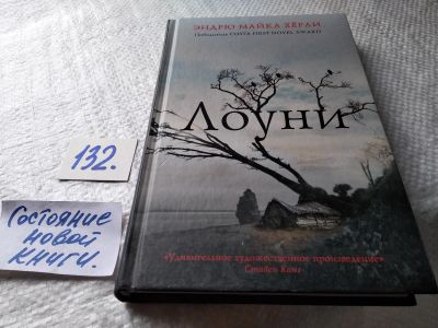Лот: 17904812. Фото: 1. oz меш. (17..015) Херли Эндрю... Художественная