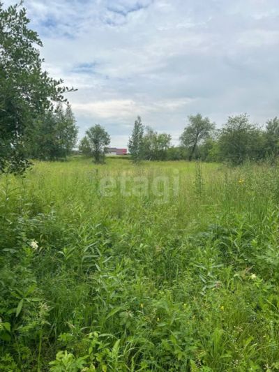 Лот: 25295619. Фото: 1. участок , село Есаулово село Есаулово... Земельные участки