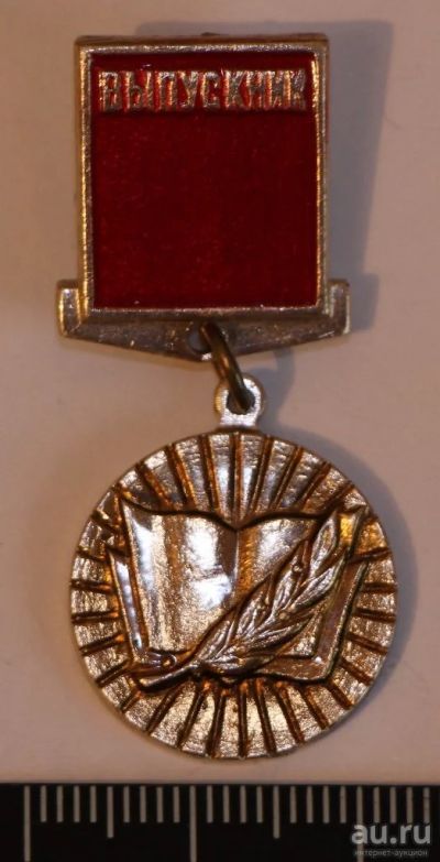 Лот: 10239576. Фото: 1. Знак на подвеске: выпускник средней... Сувенирные