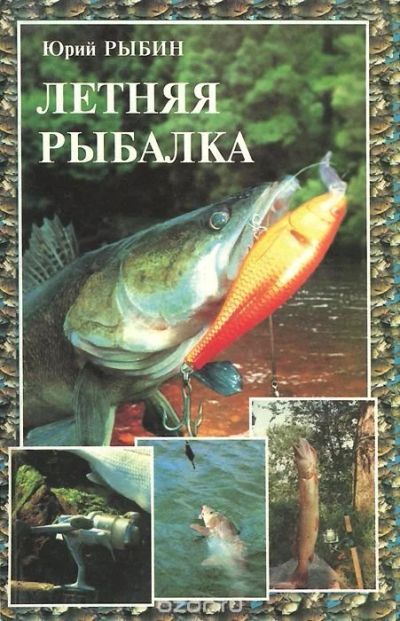 Лот: 11927763. Фото: 1. рыбин книга-летняя рыбалка-. Другое (учебники и методическая литература)