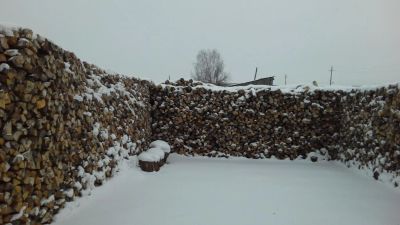 Лот: 4851333. Фото: 1. Продам дрова колотые сухие. Другие (дрова, топливо)