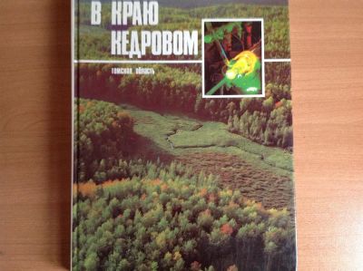 Лот: 3833841. Фото: 1. Книга подарочная Томск, "В краю... История