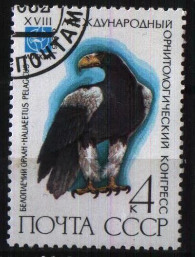 Лот: 8626047. Фото: 1. СССР 1982г фауна. Марки