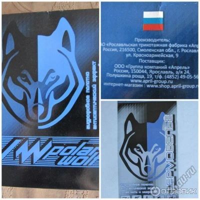 Лот: 5873079. Фото: 1. Термобельё Lynxy кальсоны. Термобелье