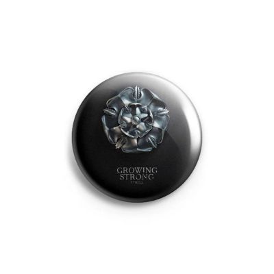 Лот: 10244475. Фото: 1. Значок Game of Thrones Игра престолов... Сувенирные