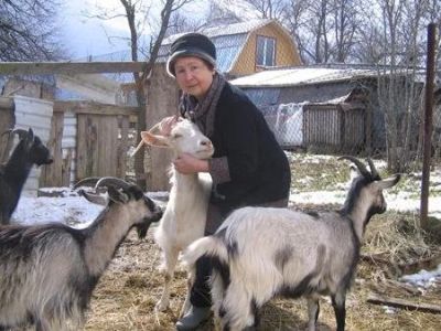 Лот: 1204433. Фото: 1. козье молоко. 2 л. Напитки