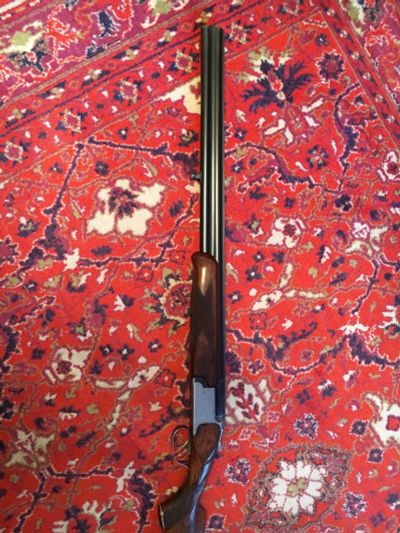 Лот: 15577375. Фото: 1. Охотничье ружье Иж 12 12 калибр. Охотничье оружие