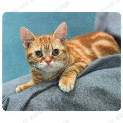Лот: 4451711. Фото: 1. Коврик Defender для мыши, шелковый... Коврики
