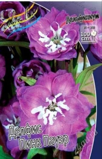 Лот: 2764066. Фото: 1. Дельфиниум Делфис Пинк Пауэр. Другое (семена, рассада, садовые растения)