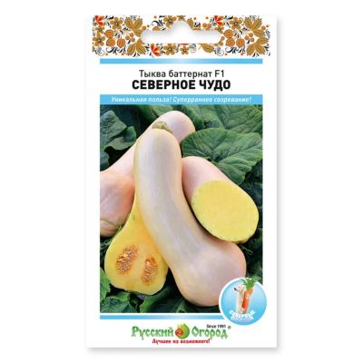 Лот: 24683742. Фото: 1. Семена Тыква, Баттернат Северное... Другое (семена, рассада, садовые растения)