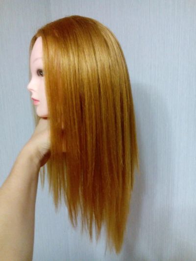 Лот: 6137369. Фото: 1. голова учебная. Другое (красота и здоровье)