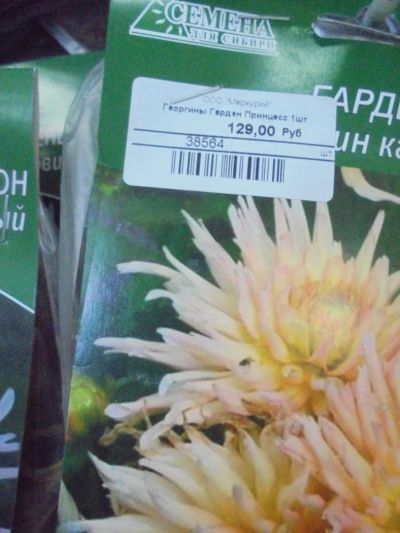 Лот: 7309422. Фото: 1. Семена. Георгин декоративный... Садовые цветы