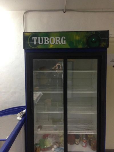 Лот: 6399875. Фото: 1. Холодильник торговый витрина Frigorex... Холодильное