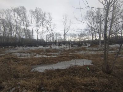 Лот: 25294835. Фото: 1. участок , Сосновоборск Сосновоборск... Земельные участки