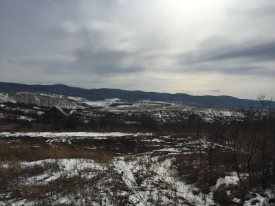 Лот: 1631382. Фото: 1. участок в садовом обществе сухой... Земельные участки