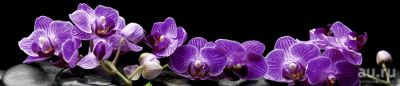 Лот: 13832307. Фото: 1. SP 089 Стеновые дизайн панели... Фартуки для кухни