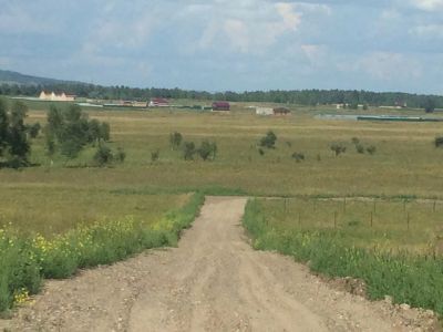Лот: 8423923. Фото: 1. Участок в ДНТ "Лиственная грива... Земельные участки